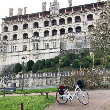 Gite Blois Chatel Экстерьер фото