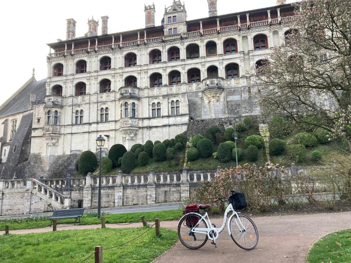 Gite Blois Chatel Экстерьер фото